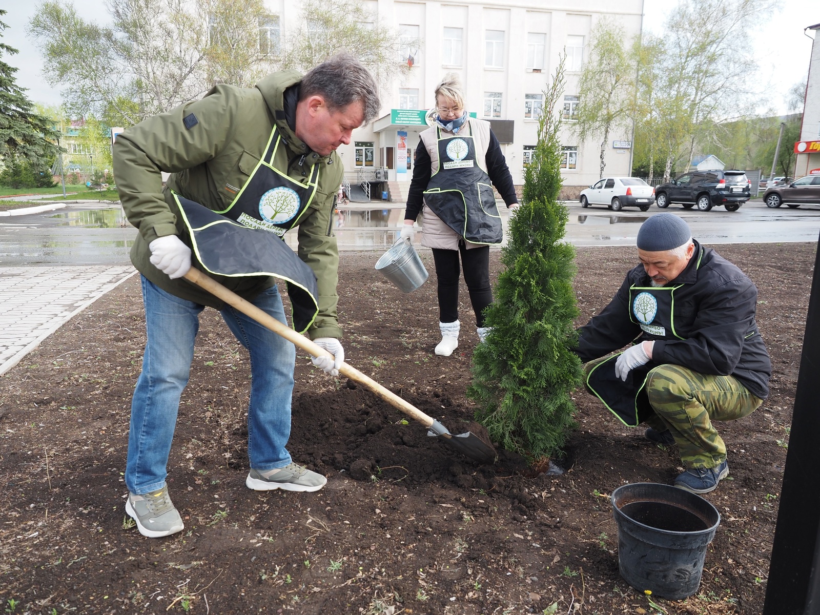 Сауыр, миләш һәм шыршы Үҫеп китһә, бик яҡшы!