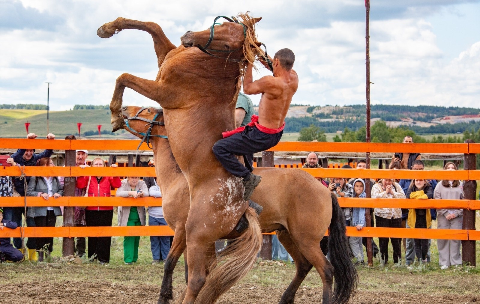 Обсудили современные тенденции развития продуктивного коневодства