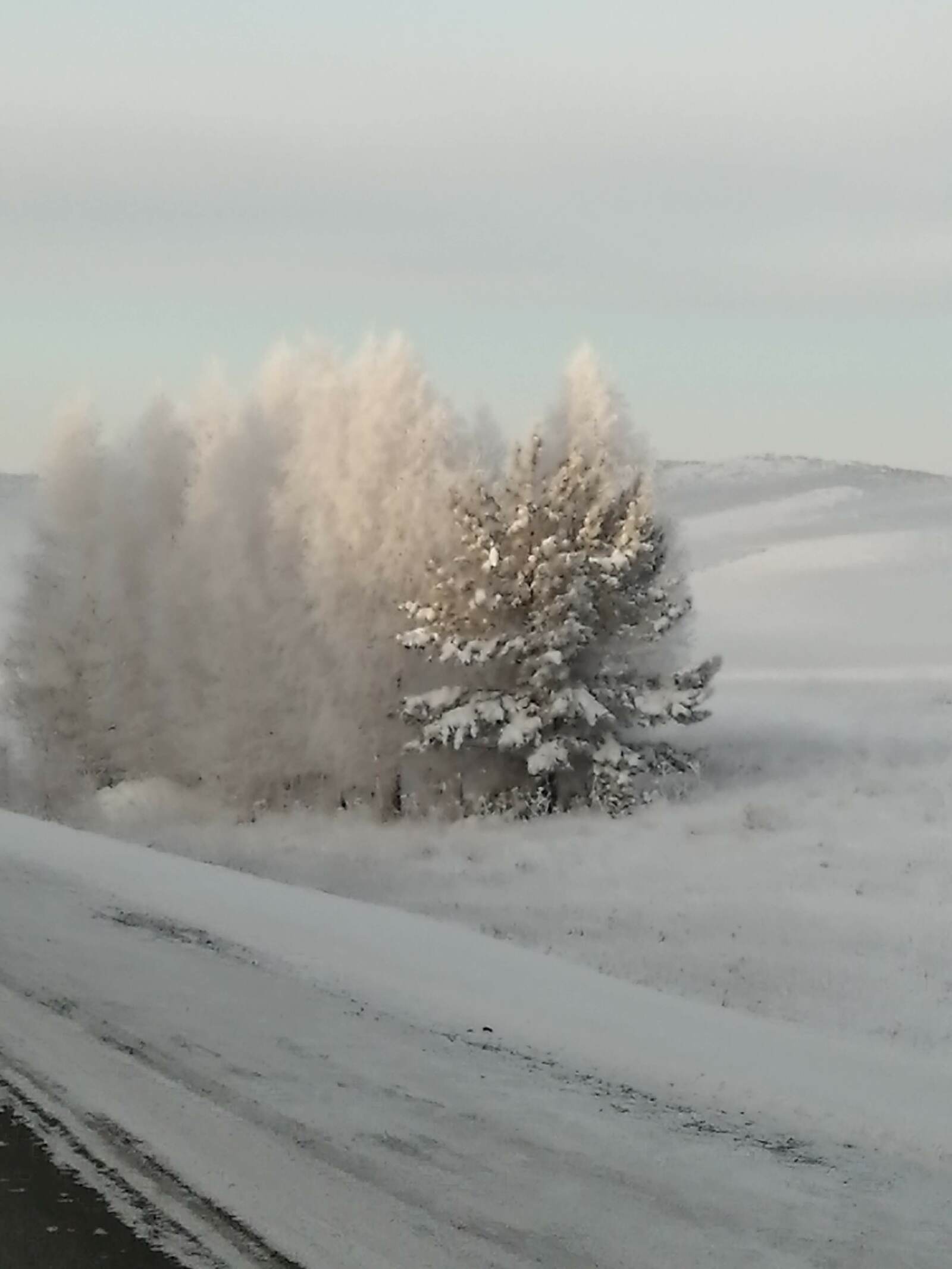 Уҙған ғына ғүмер, ҡалған хәтер