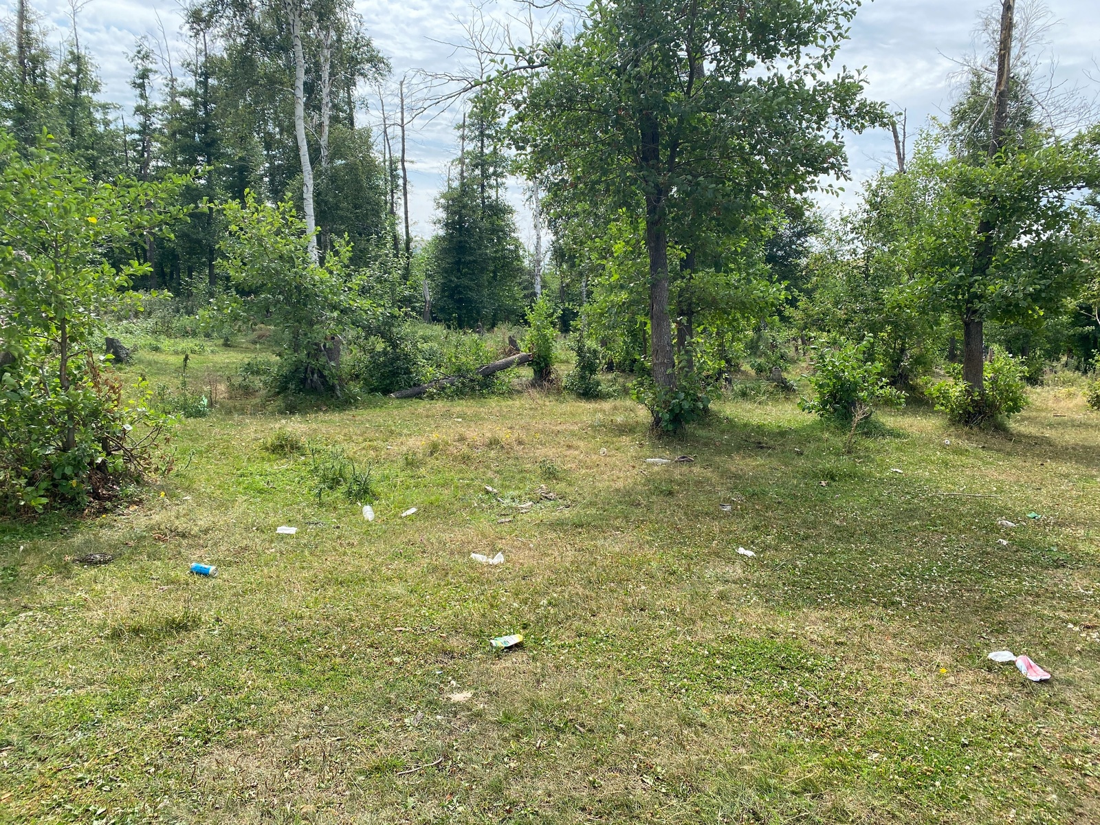 Тәбиғәтте яратҡан—тормошто ярата