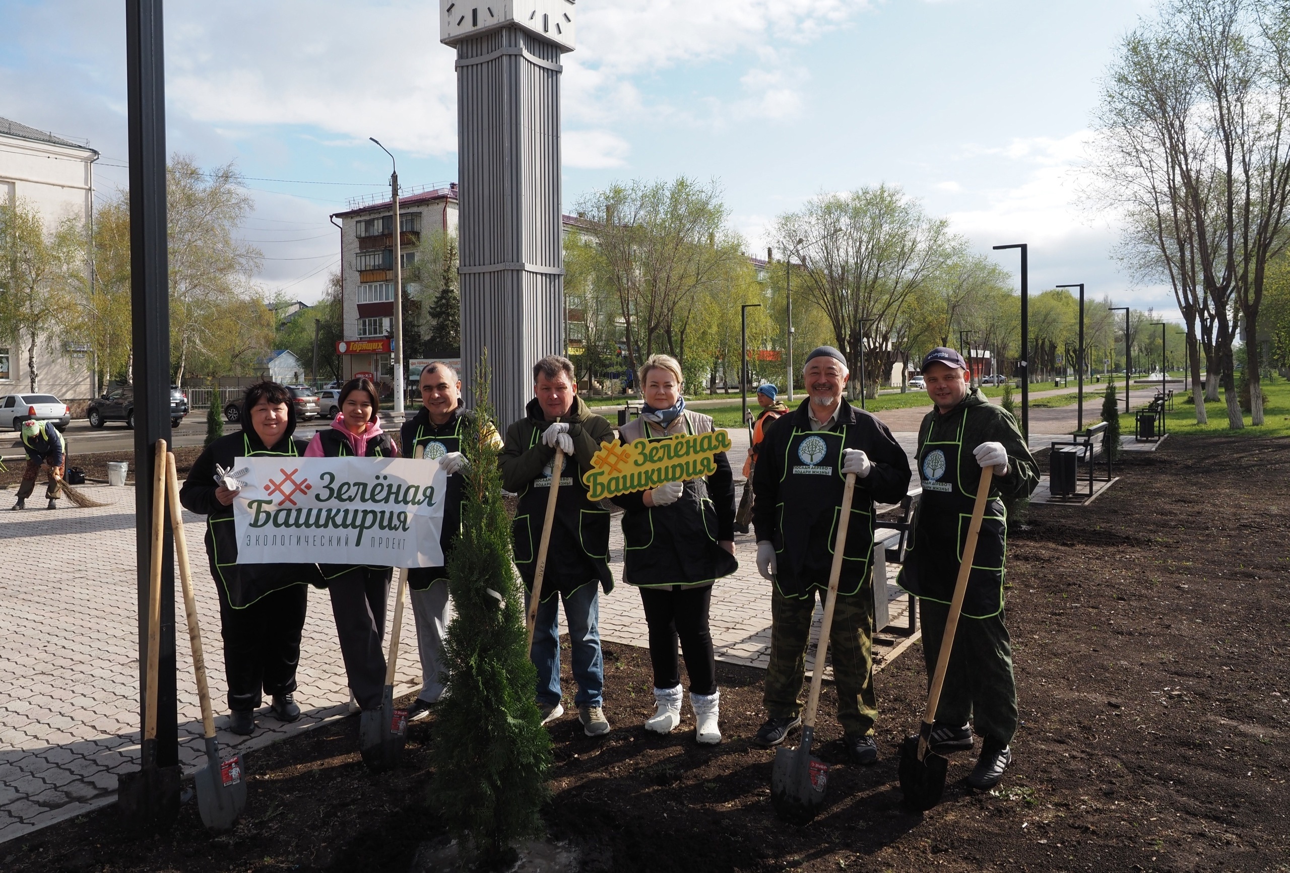 Сауыр, миләш һәм шыршы Үҫеп китһә, бик яҡшы!