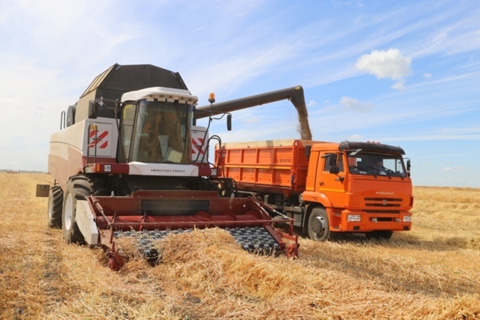 Баҫыуҙарҙы иңләй игенсе